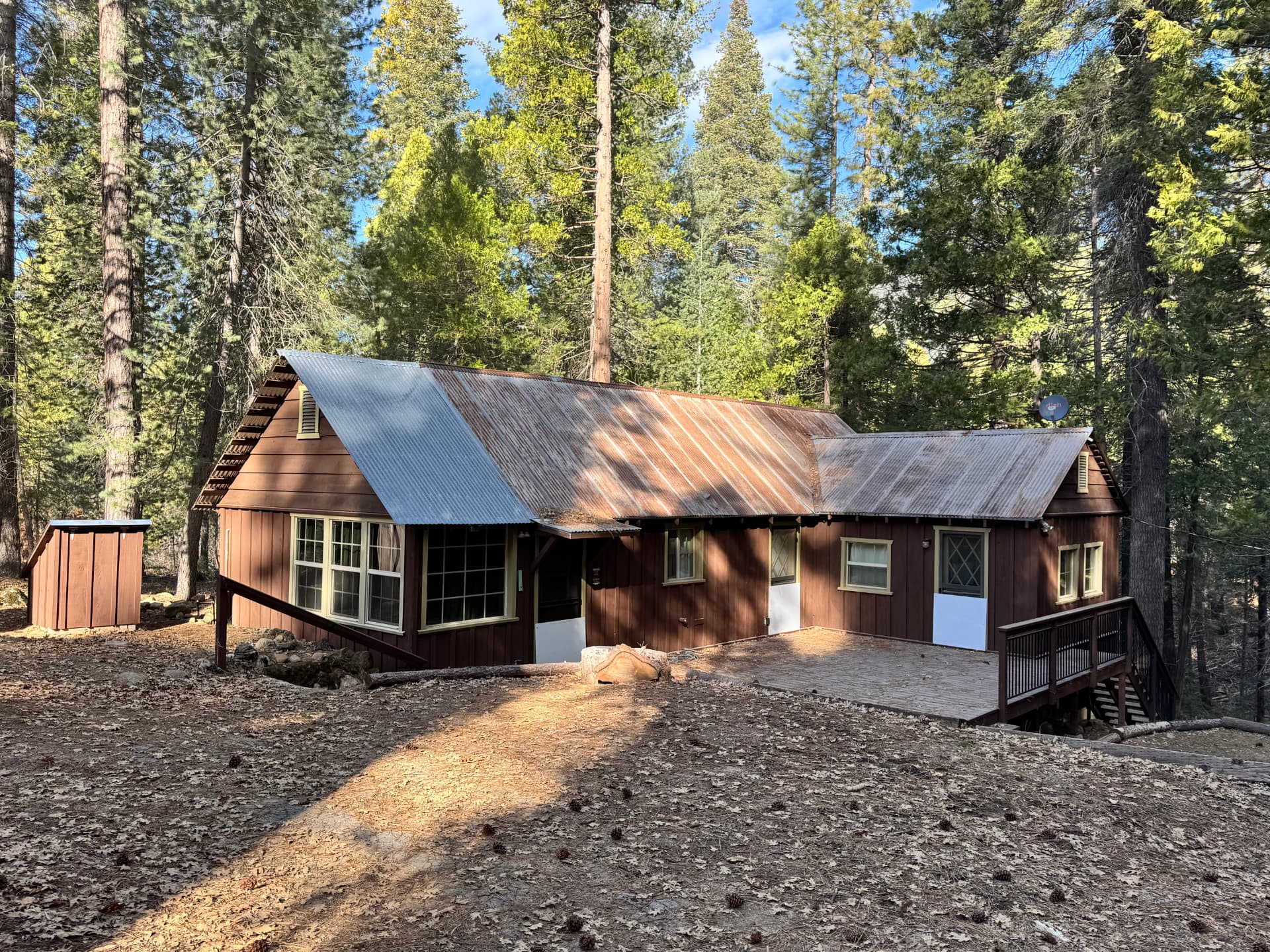 The original cabin with its brown siding and rusted tin roof among the pines