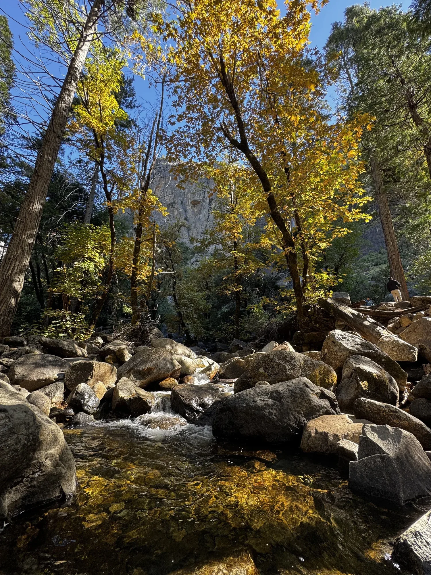 Beautiful fall season at the base of Bridalveil Fall, Yosemite National Park