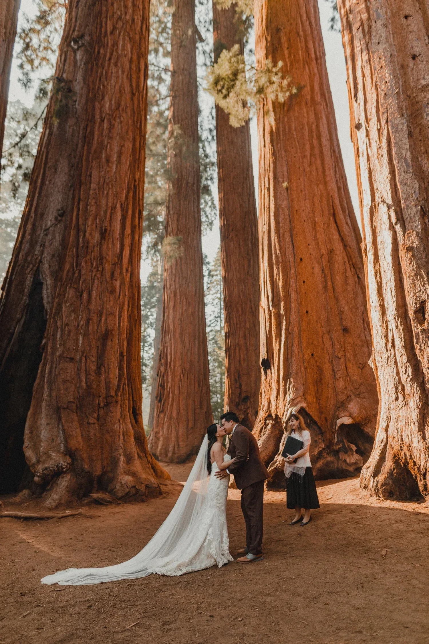 Sequoia National Park / Parker Trees