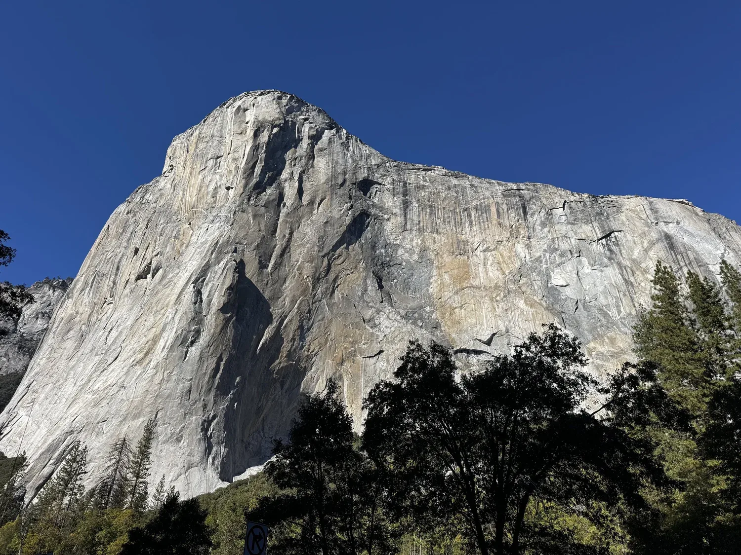 El Capitan Meadow: A Quiet Moment Under the Granite Giant