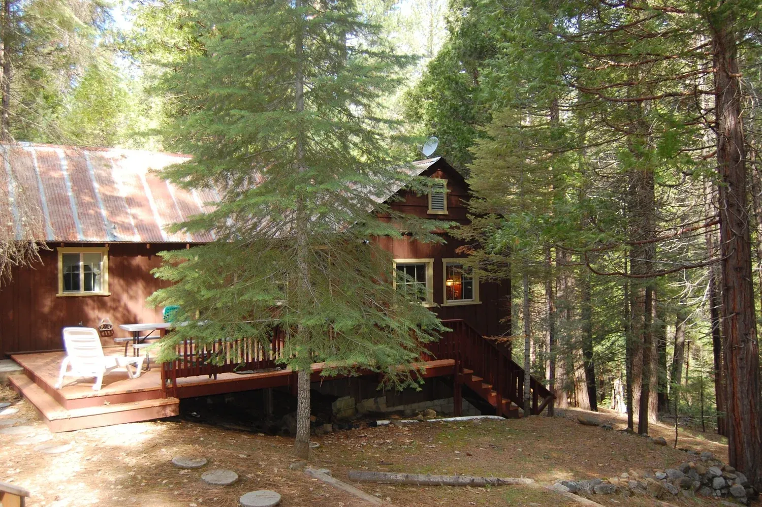 The original family cabin in the forest, decades ago