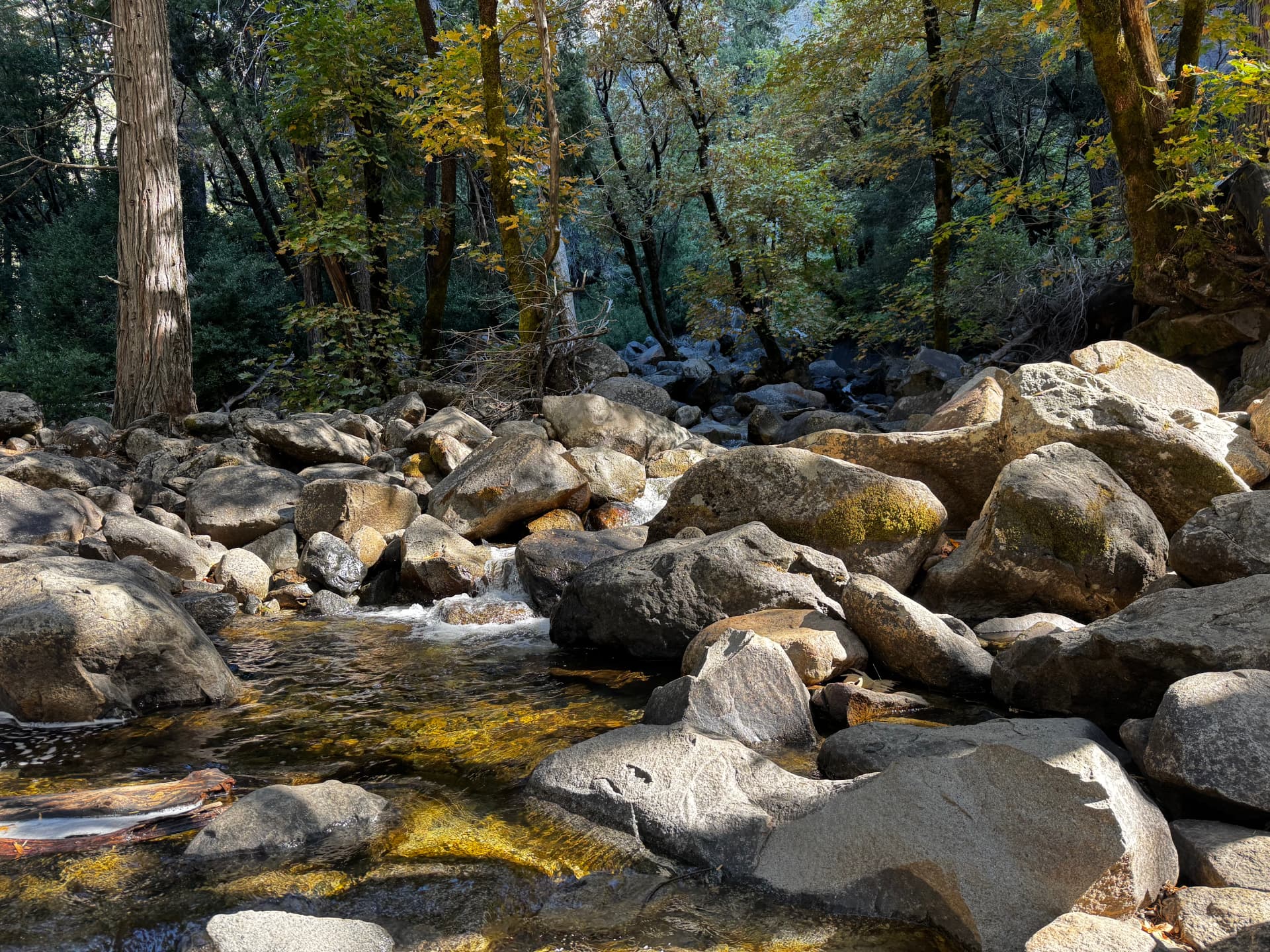Yosemite in October: A Guide to the Quiet Season