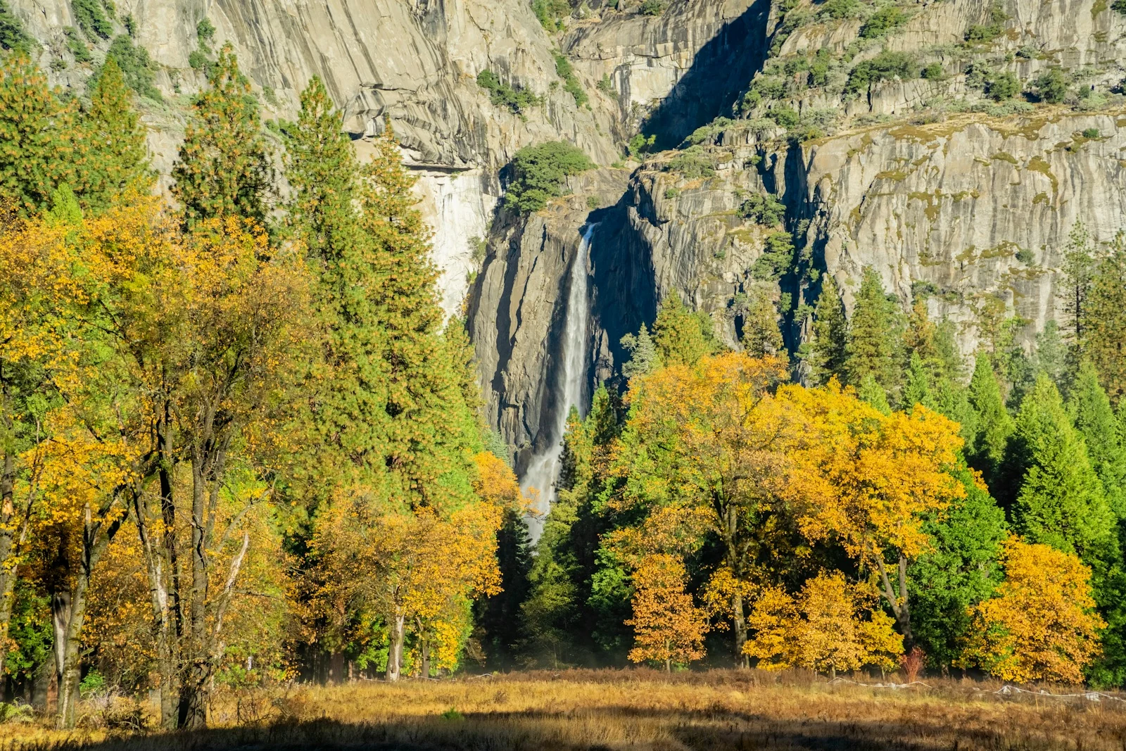 The last of the fall color in Yosemite. Photo: Spencer DeMera / Unsplash