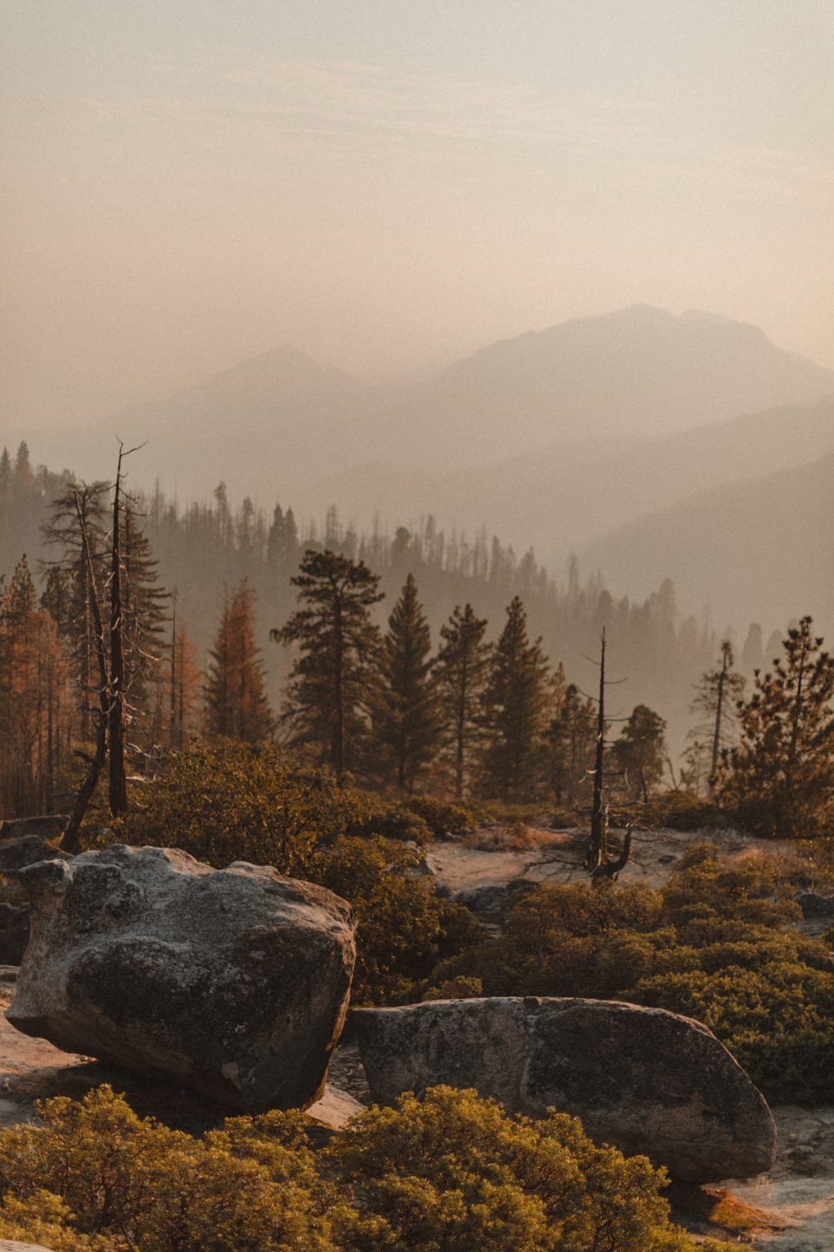 Sunlit Sierra mountains beyond granite rocks and pine trees